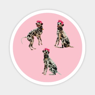 Dalmatian flower crown Magnet